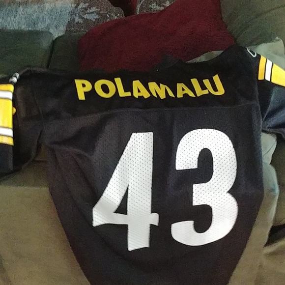 Troy Polamalu Jersey - Picture 2 of 2